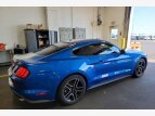 Thumbnail Photo 56 for 2019 Ford Mustang